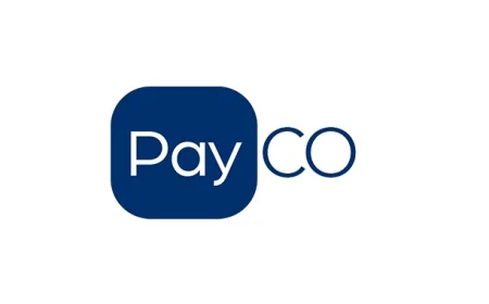 PAYCO Soruşturmasında İkinci Dalga: 6 İlde 28 Gözaltı, Yasa Dışı Para Trafiği İddiası