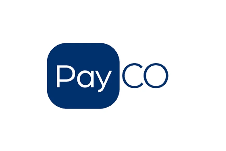 PAYCO Soruşturmasında İkinci Dalga: 6 İlde 28 Gözaltı, Yasa Dışı Para Trafiği İddiası