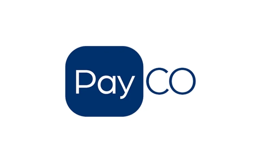 PAYCO Soruşturmasında İkinci Dalga: 6 İlde 28 Gözaltı, Yasa Dışı Para Trafiği İddiası