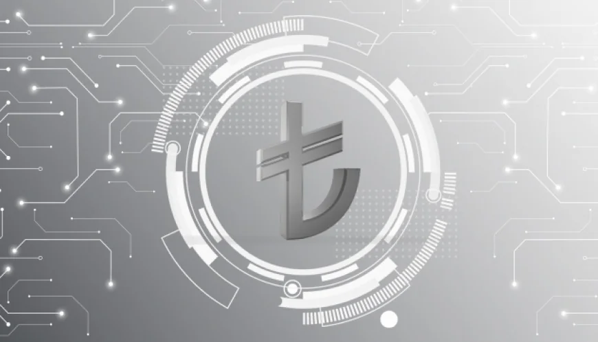 Türk lirasında değer kaybı devam ediyor!